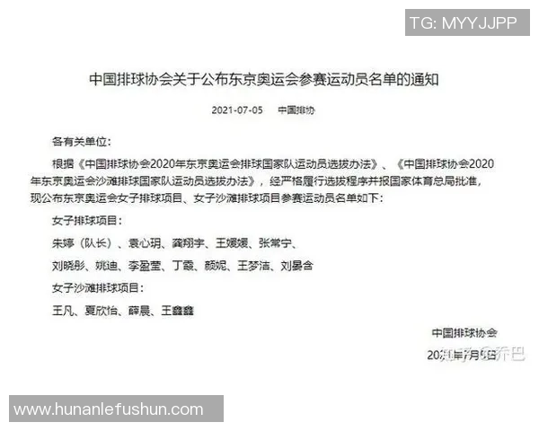 北京排球队技术表现分析与联赛表现的深度解读